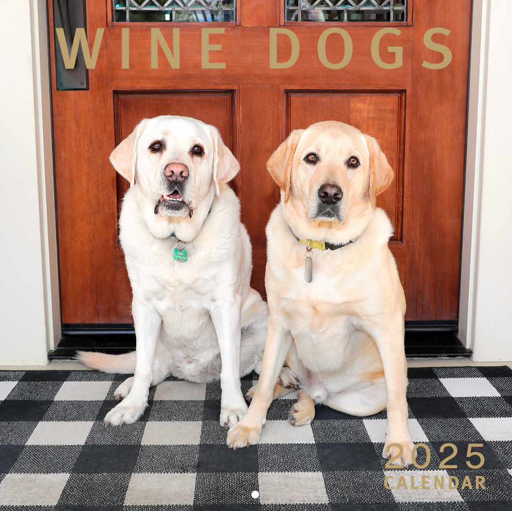 Product Image for Wine Dog Calendar 2025